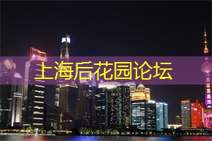 上海夜市美食大揭秘:你一定没尝过这些创意小吃! 上海夜市美食大揭秘:你一定没尝过这些创意小吃!