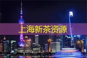 夜上海,释放身体与灵魂的共鸣 夜上海,释放身体与灵魂的共鸣