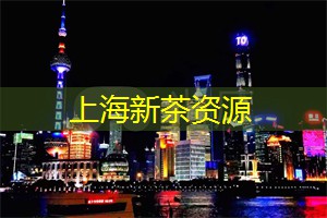 相亲圣地上海,最佳求偶栖身之选! 相亲圣地上海,最佳求偶栖身之选!