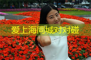 海派文化在夜晚的绽放 海派文化在夜晚的绽放